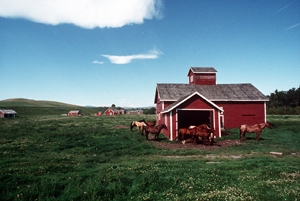 Facade of Stud Horse Barn